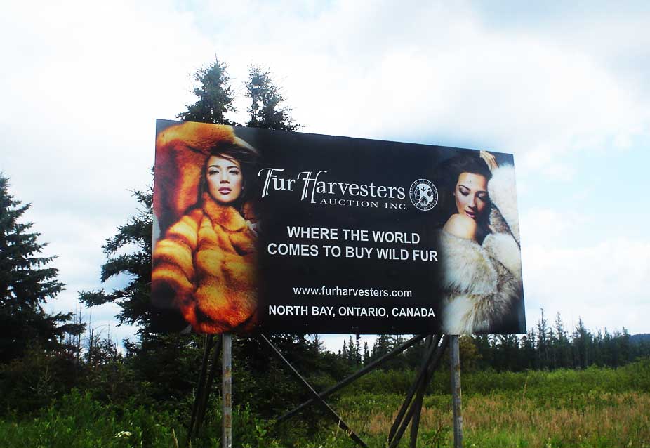 Fur Harvesters Auction Inc. Billboard